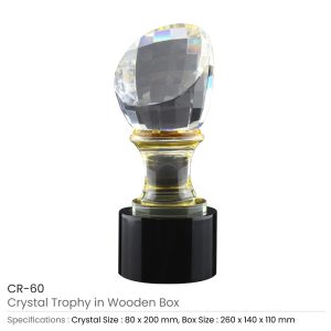 Crystal Trophy in Wooden Box - Image 3