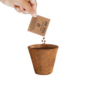 Plantable Kit with GHAF Seeds in Kraft Box - Image 6